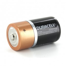 Pilha Tipo D – MN 1300 C/2 Unid. - Duracell 